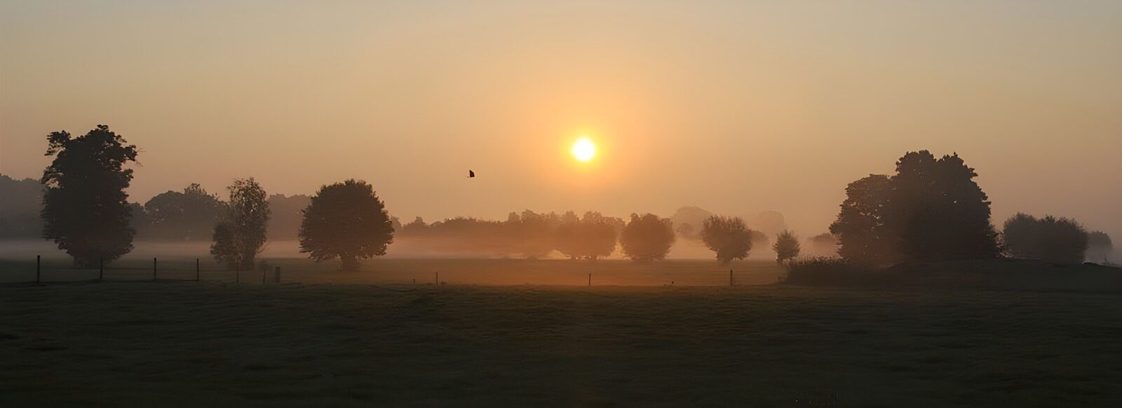 TPDE85129: Landschaft im Nebel kurz vor Sonnenaufgang