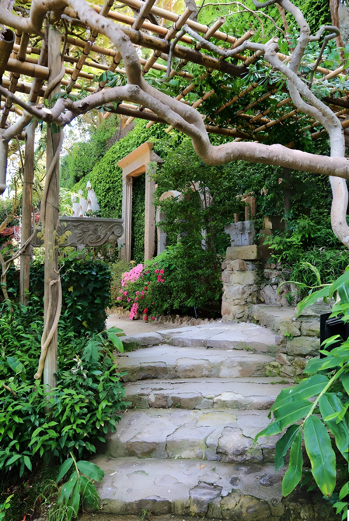 TPDE48168: Zauberhafter Gartenweg mit Blumen