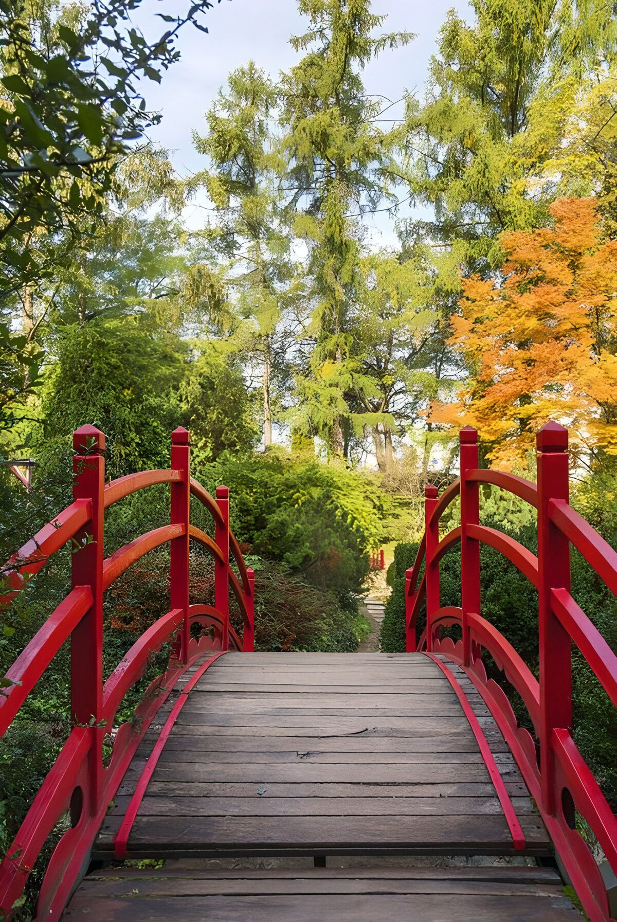 TPDE14628: schmale  Brücke mit rotem Geländer in einem japanischen Garten
