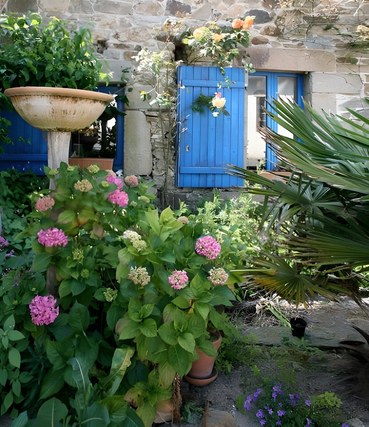 altes französisches Haus mit blauen Fensterläden und viele Blumen und Pflanzen Version 2