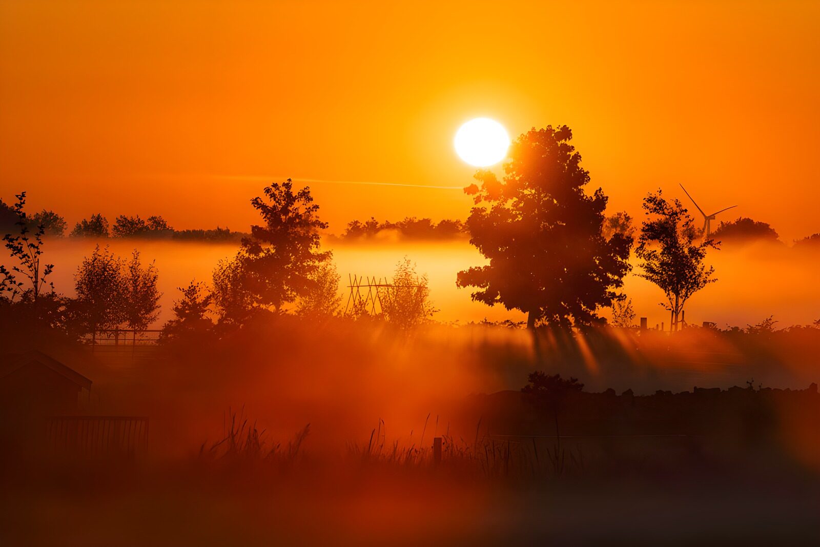 TPDE43318: Magischer Sonnenaufgang im Nebel