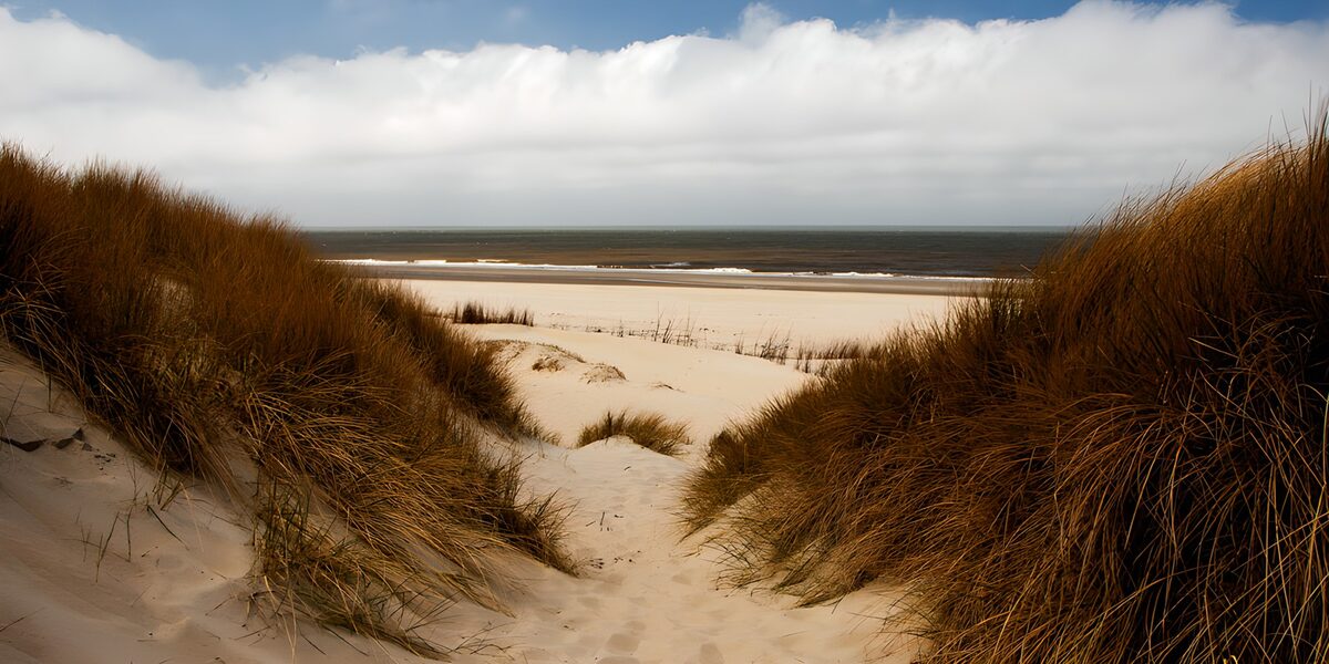 TPDE76918: Dünenlandschaft am Meer
