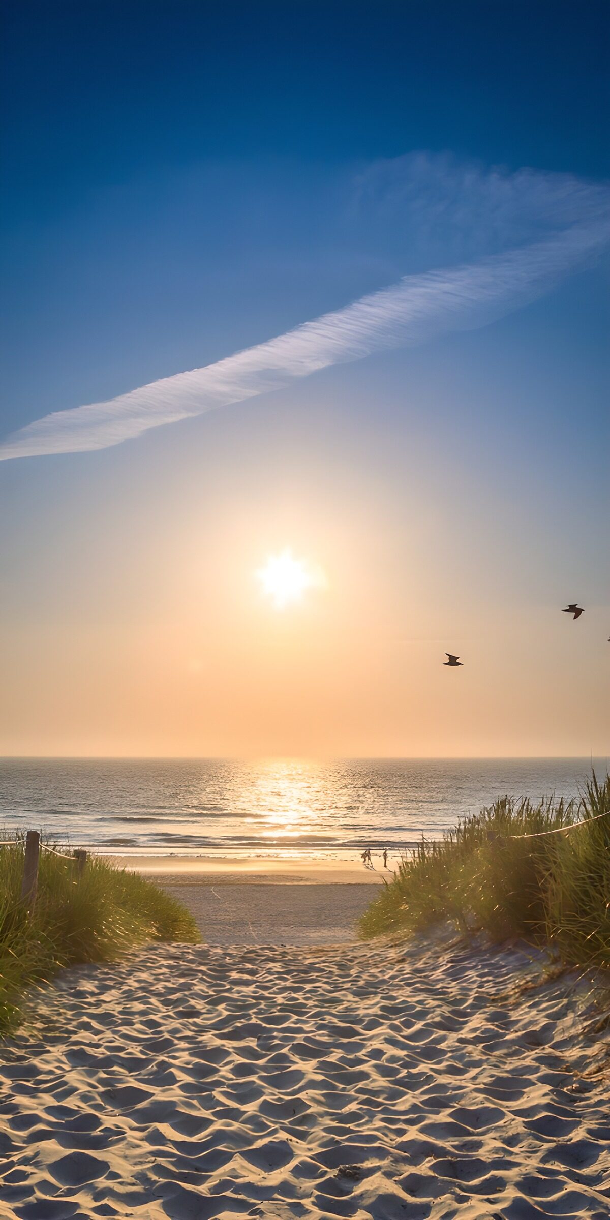 TPDE49131: Traumhafter Sonnenuntergang am Strand