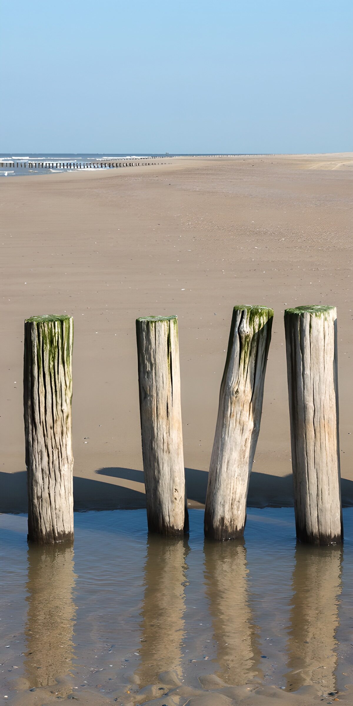 TPDE35470: Pfähle am Strand im Wasser