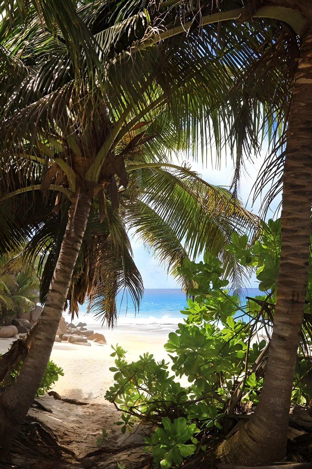 TPDE23742: Blick auf den paradiesischen Strand