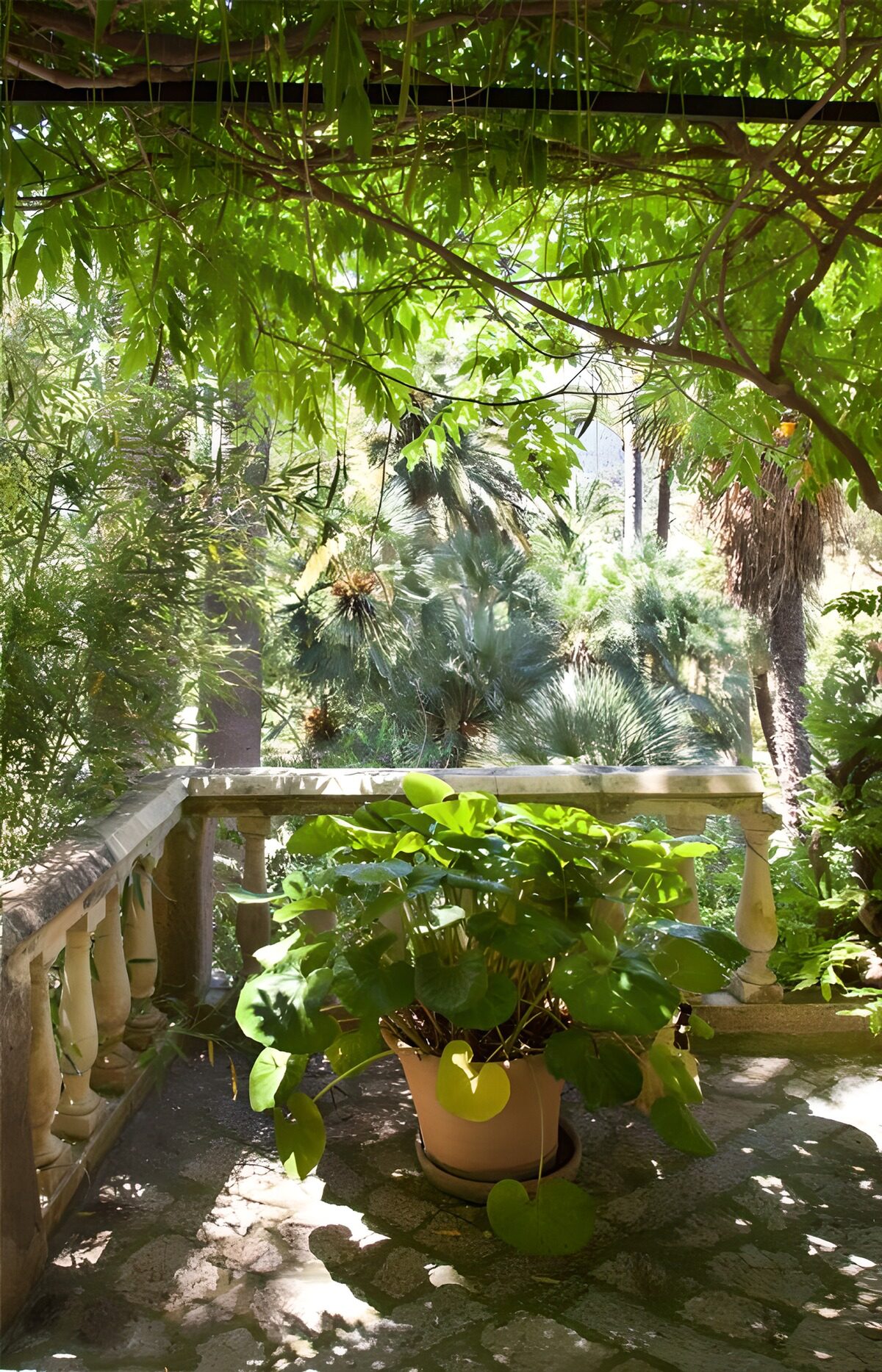 TPDE25519: Blick eine mediterrane Terrasse