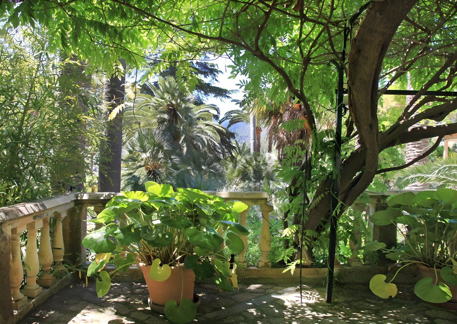 TPDE23927: Blick auf eine mediterrane Terrasse