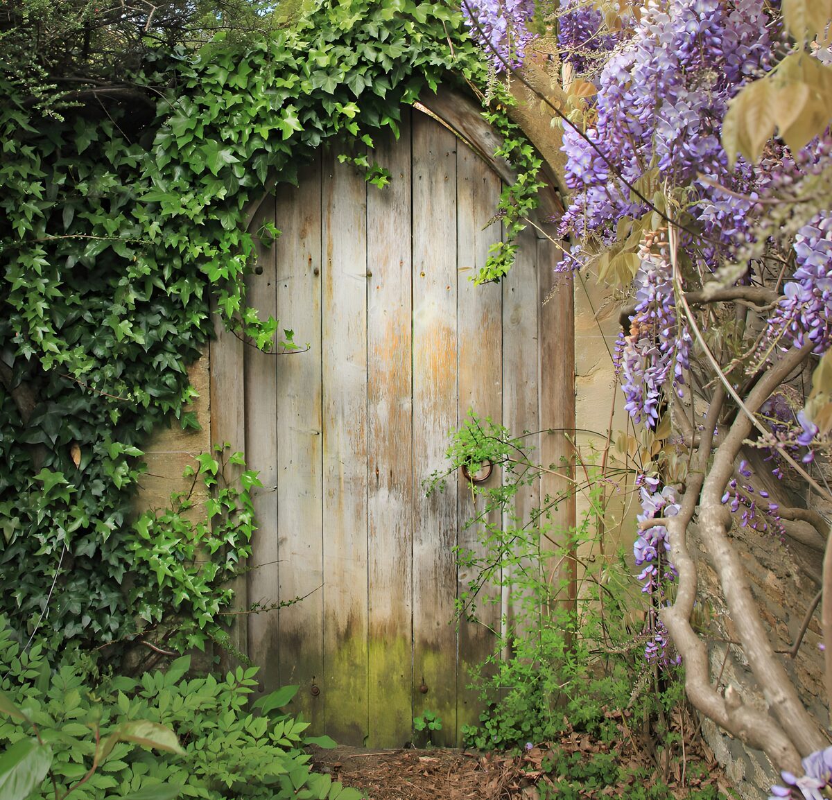Verborgene Tür im Garten