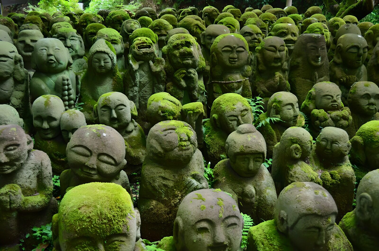 TPDE44633: Statuetten mit Moos bewachsen in der Borobudur