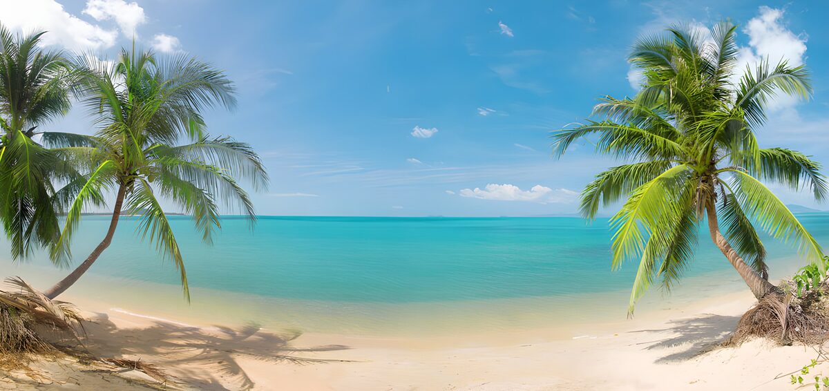 TPDE78020: Tropischer Strand mit Palmen