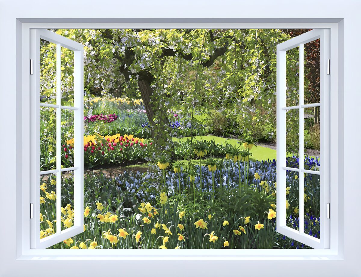 TPDE52133: Blühender Garten im Fensterblick