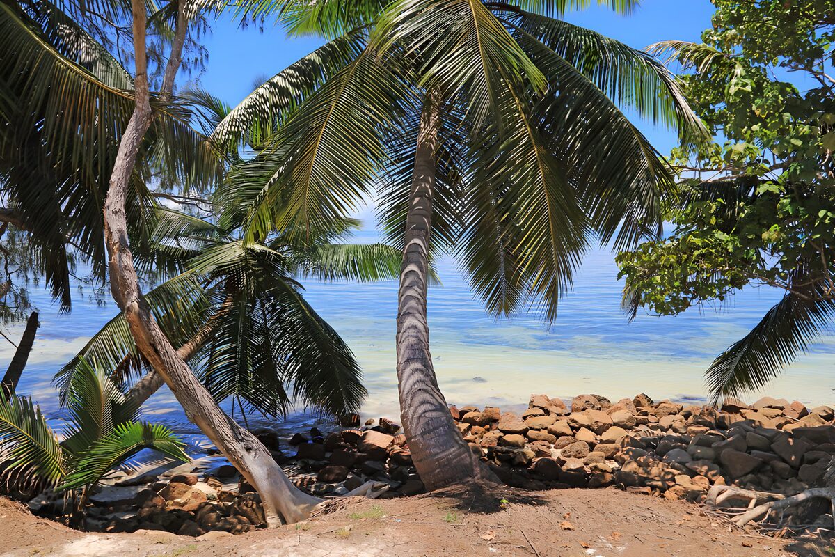TPDE63488: Ruhige Strandlandschaft mit Palmen