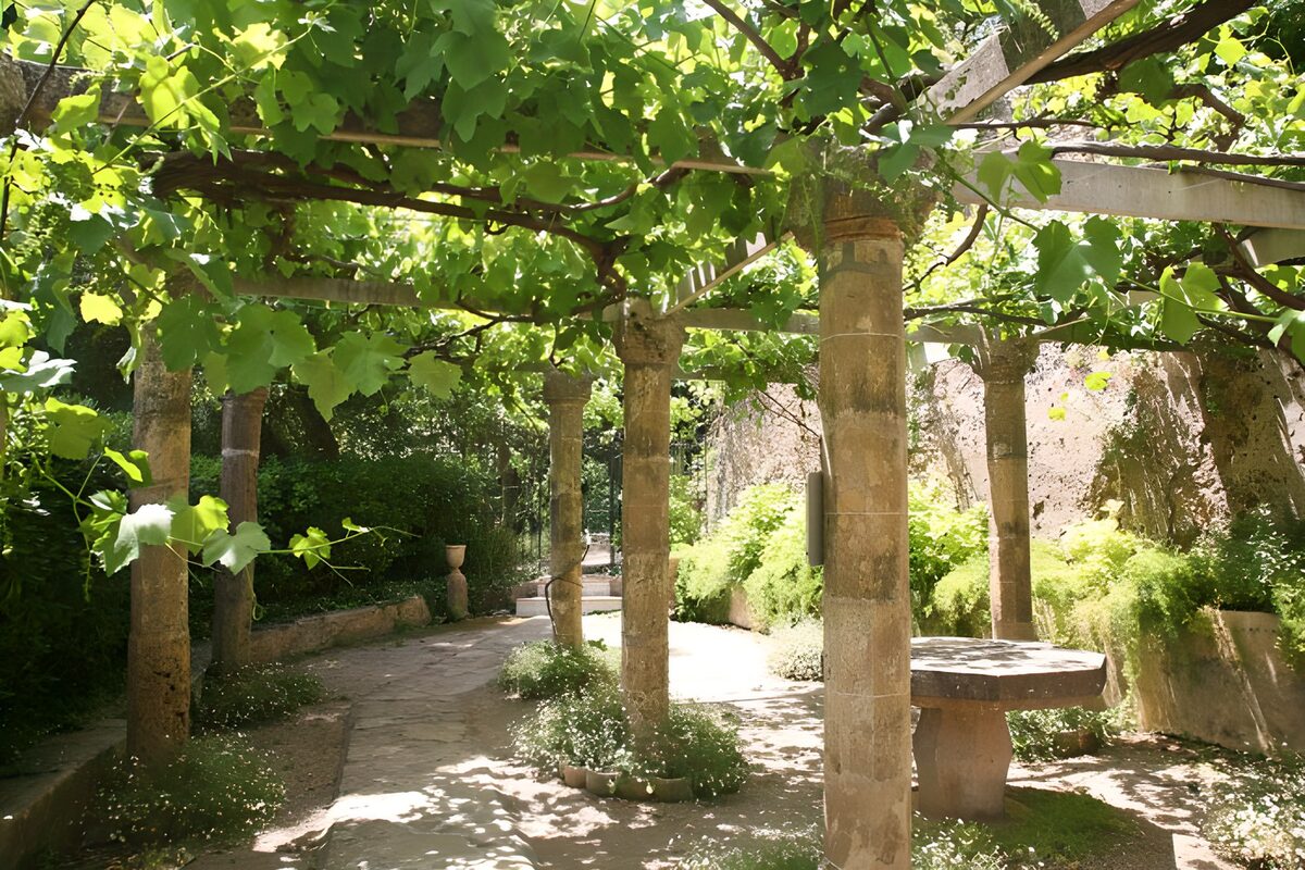 alte Terrasse im Schatten der Weinrebenblätter Version 2