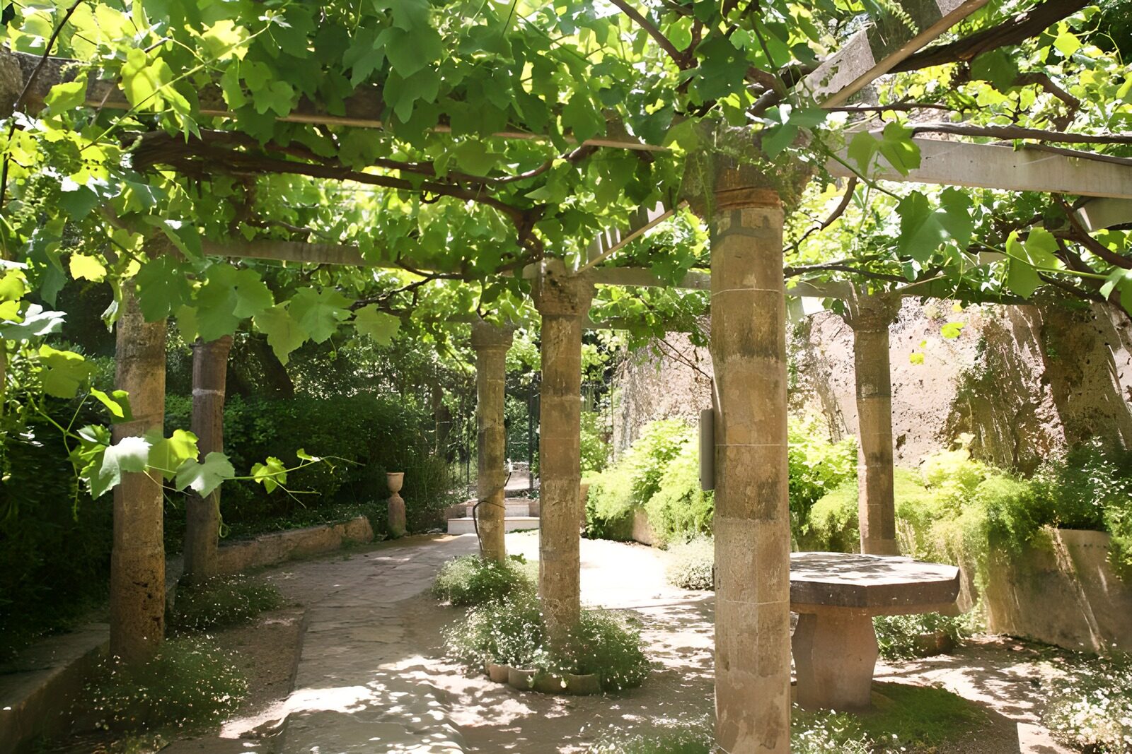 TPDE59205: alte Terrasse im Schatten der Weinrebenblätter Version 2