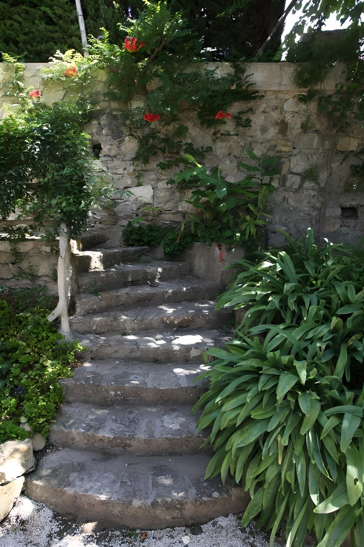 TPDE97620: Steinerne Mauer mit Treppe