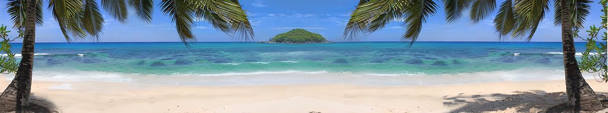 TPDE67607: Strand, Palmen und das blaue Meer