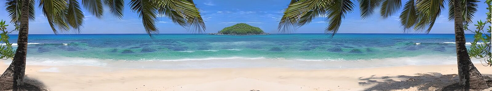TPDE67607: Strand, Palmen und das blaue Meer