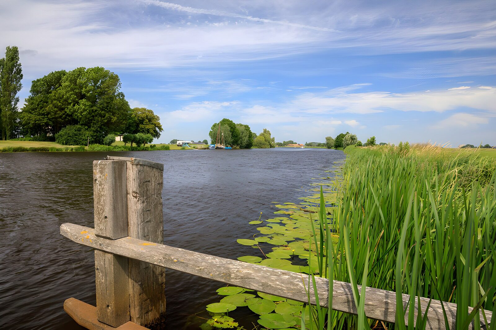 TPDE39800: Ruhige Flusslandschaft im Sommer