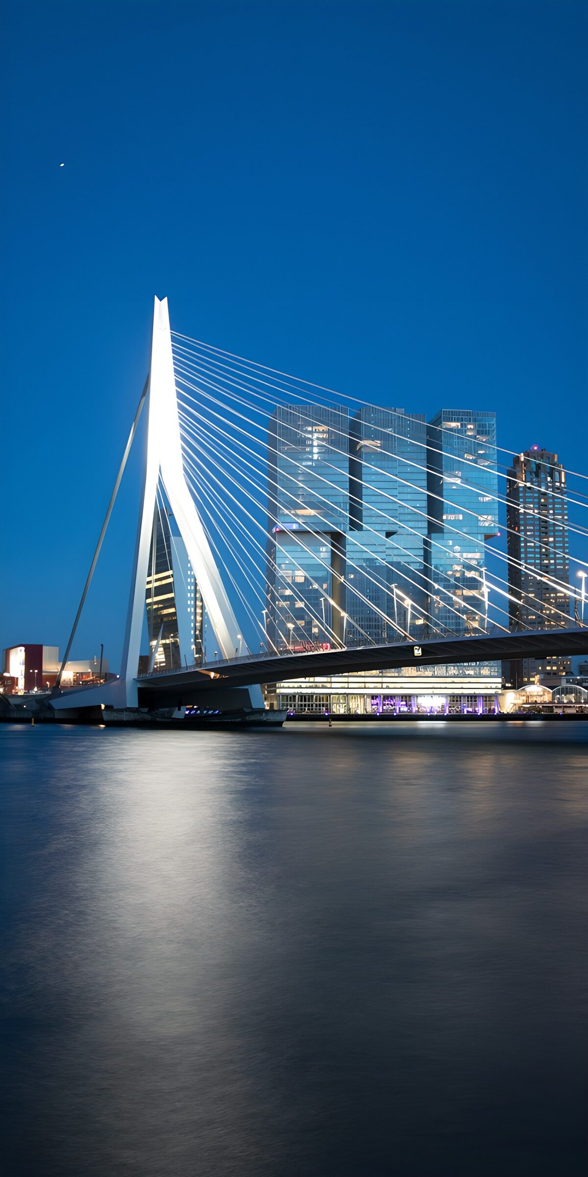 TPDE10027: moderne Brücke in Rotterdam bei Nacht