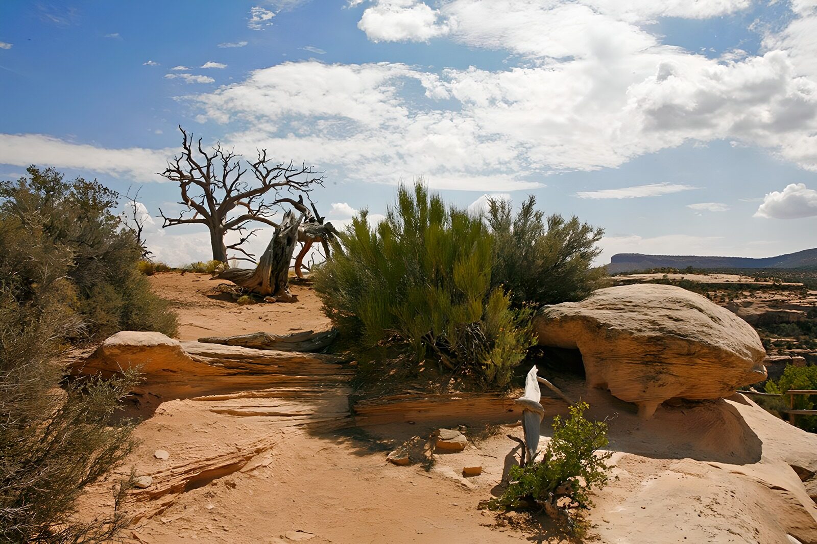 TPDE20660: Felsblöcke am Rande von dem "Grand Canyon" (USA)