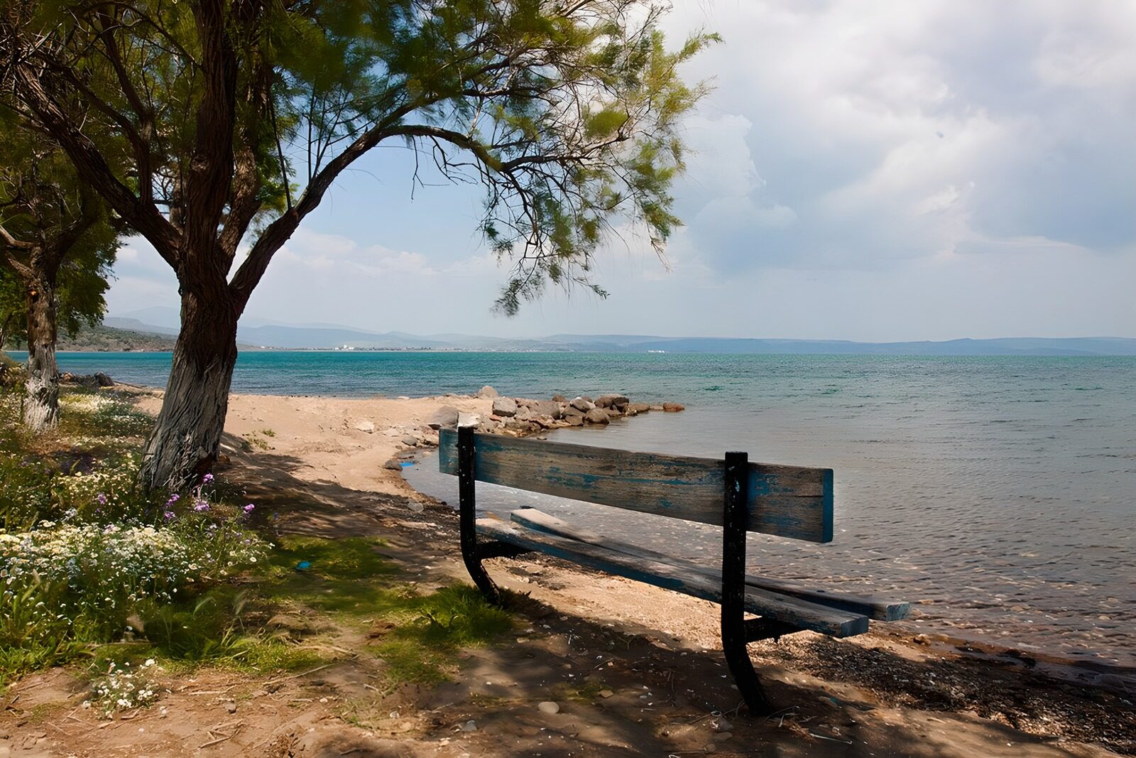 TPDE62006: Bank im Schatten mit Aussicht auf das Meer
