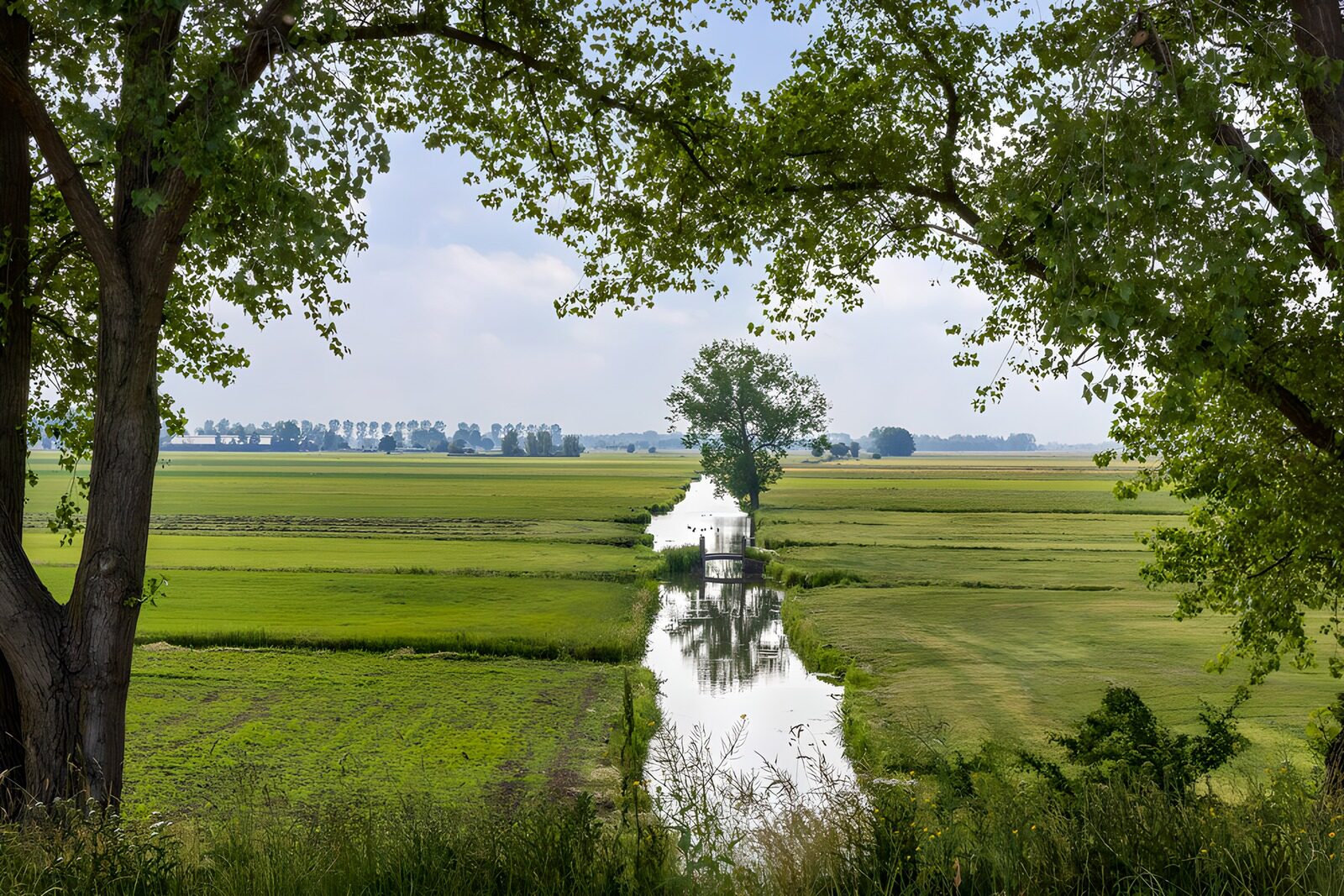 TPDE19963: Grünes Landschaftsbild mit Wasserlauf