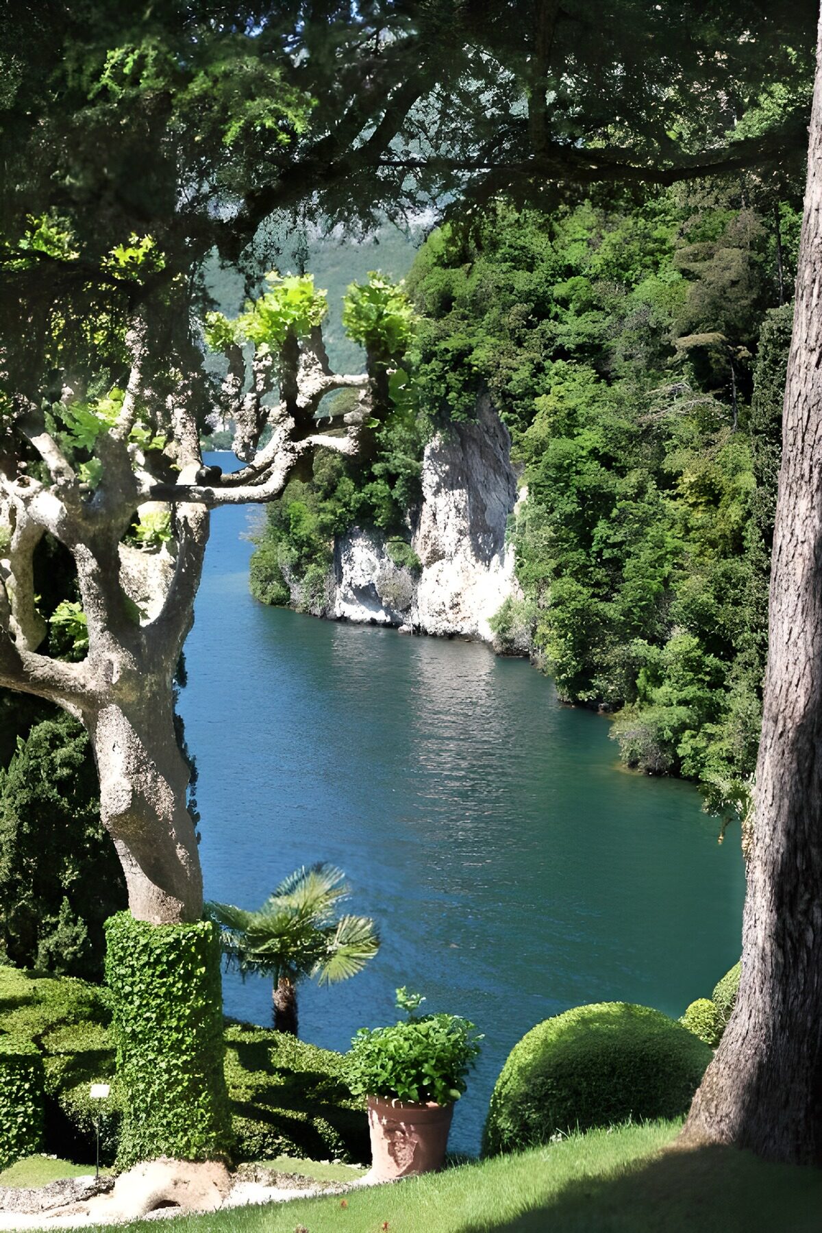 TPDE63949: Blick auf Feigenbäume und einen See in Italien