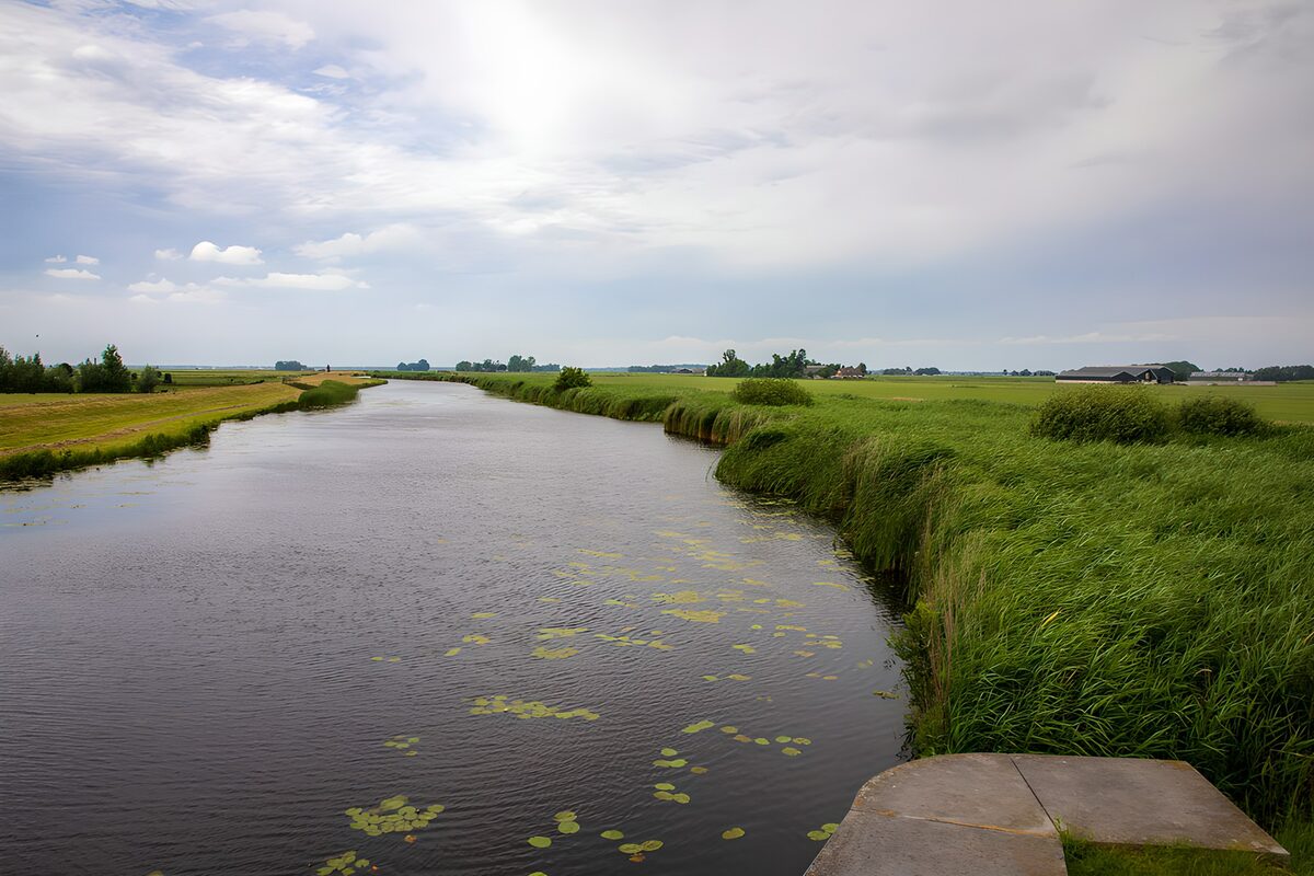 Ruhiger Fluss in ländlicher Umgebung