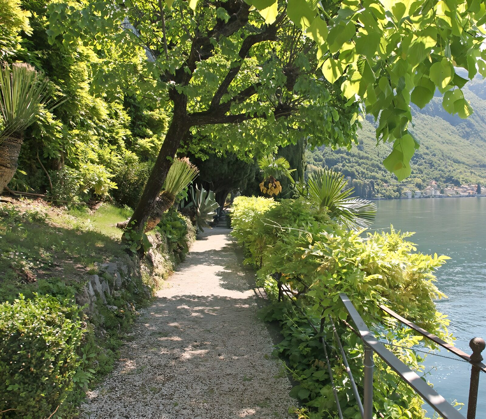 TPDE33161: Wanderweg unter Bäumen an einem See entlang