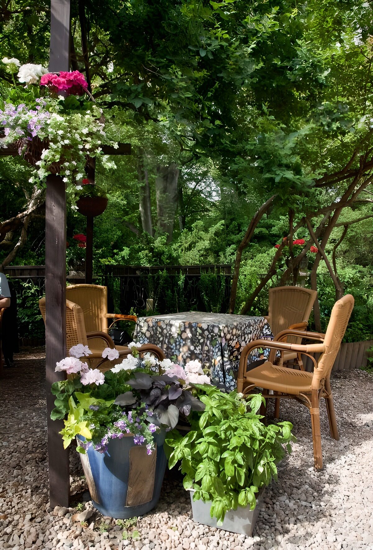 TPDE92279: schattige Ecke in einem Garten