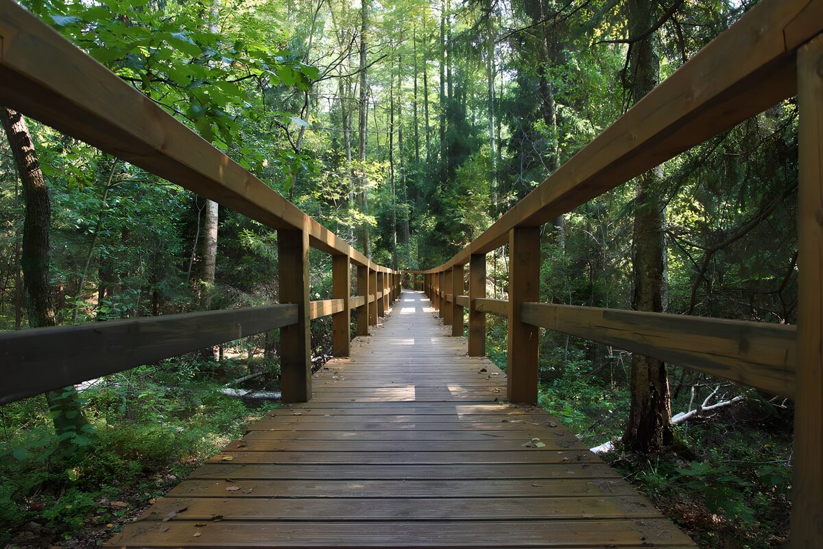 TPDE83157: Weg mit Holzbrettern durch einen Wald