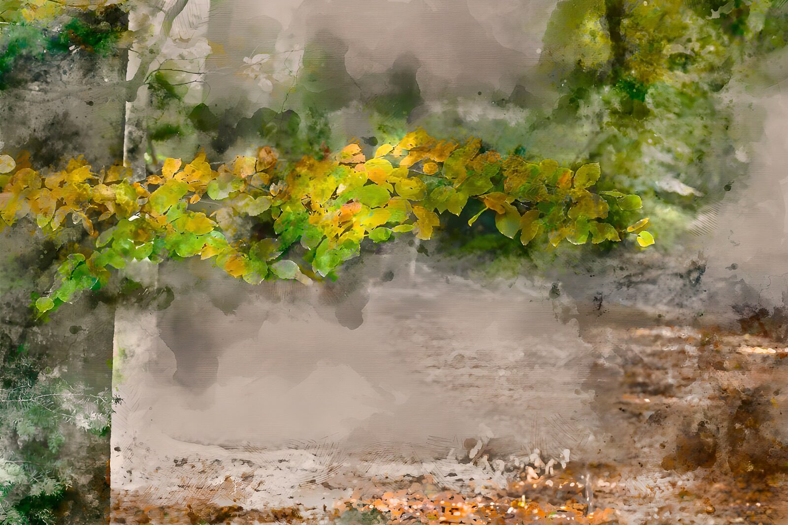 TPDE18376: Herbstliche Farben im verträumten Wald