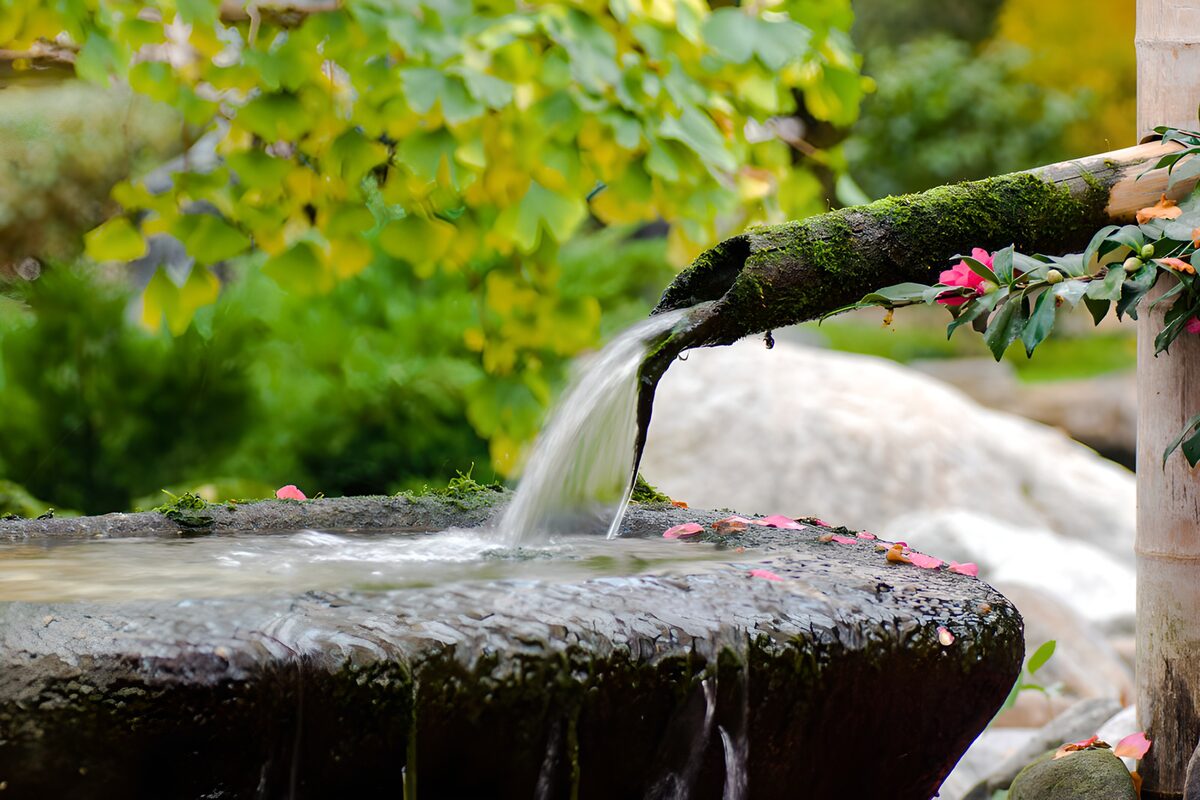 TPDE21697: Wasserlauf im Garten
