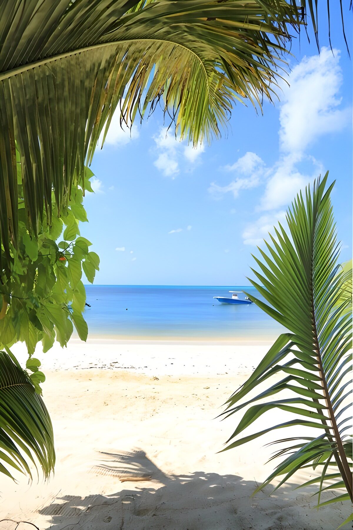 TPDE77448: Paradiesischer Strandblick