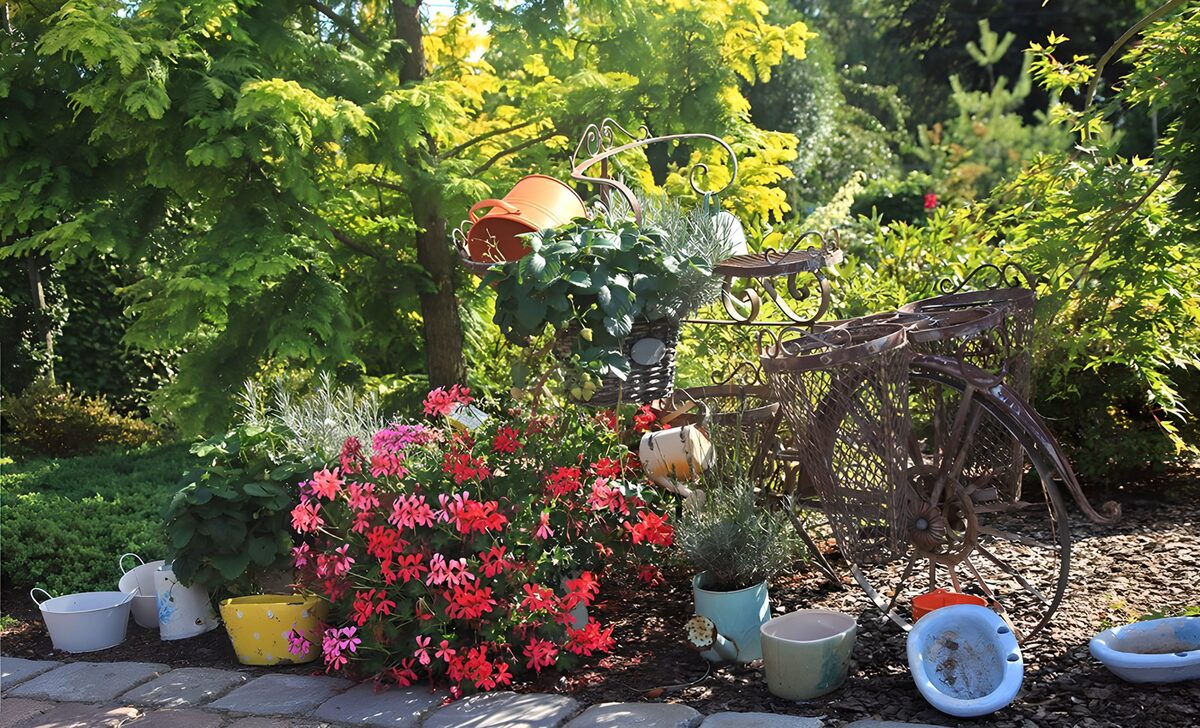 TPDE84123: altes Fahrrad und leere Blumentöpfe als Gartendeko zwischen roten und weißen Geranien