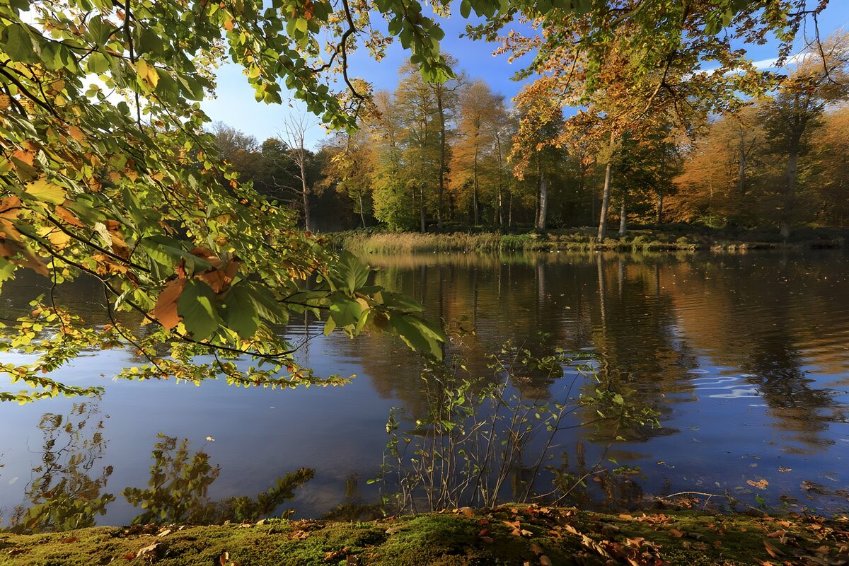 Teich bei Schloß Broekhuizen  in Leersum (NL) 2