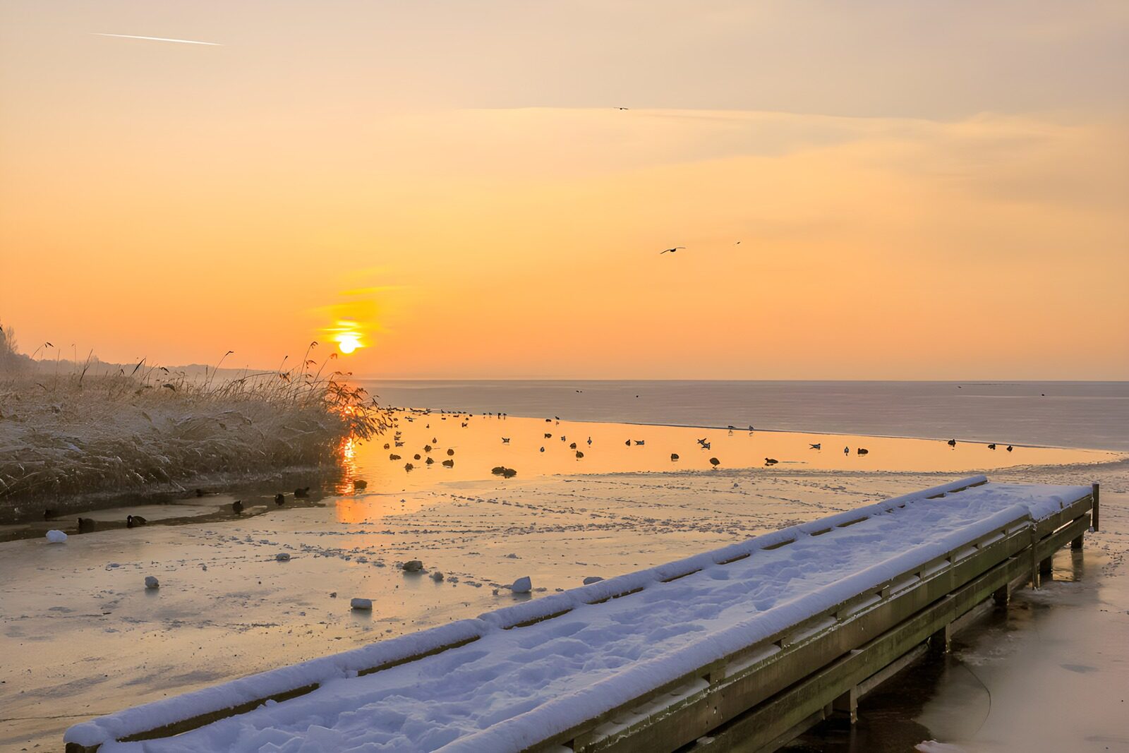 TPDE54374: Wintersonne über dem Gefrorenen See