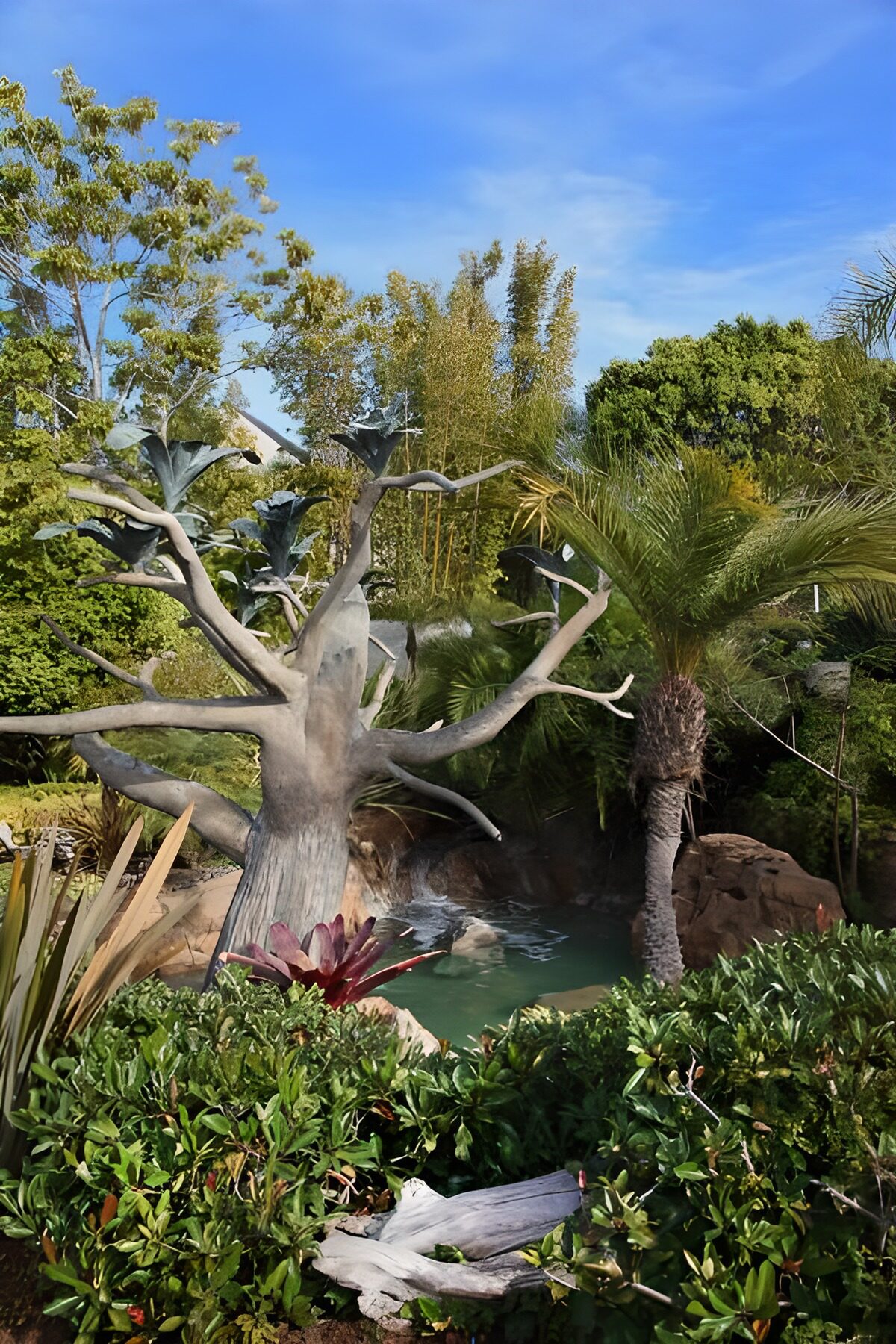 Palmen und ein Baum ohne Blätter bei einem kleinen Wasserfall