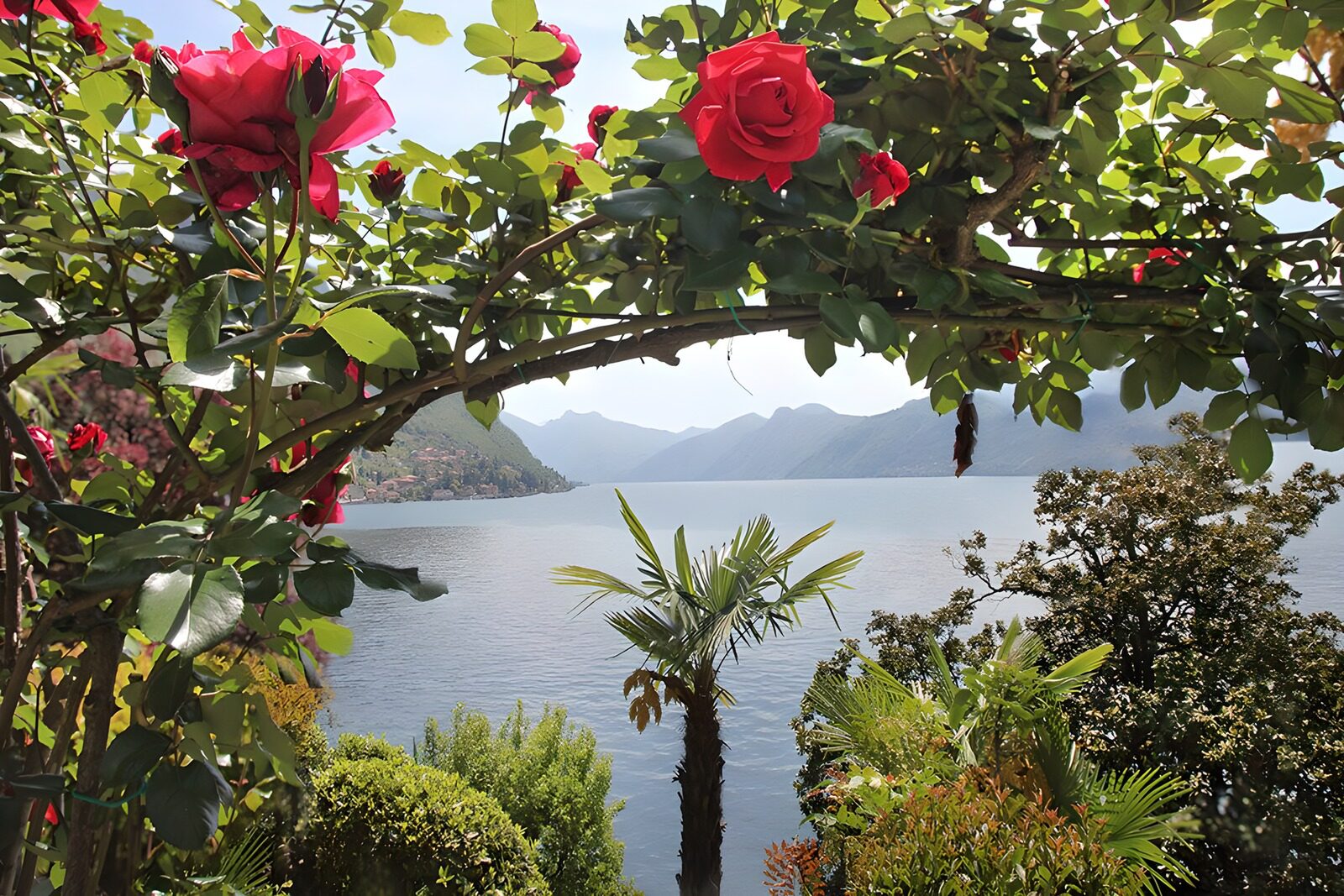 TPDE70835: mediterraner Blick auf einen See und Berge