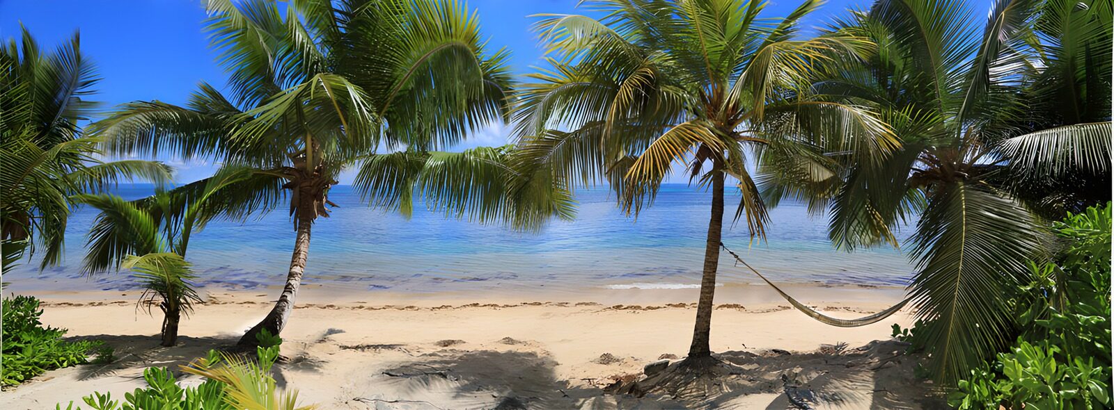 TPDE39976: Tropischer Strand mit Palmen und Wasser