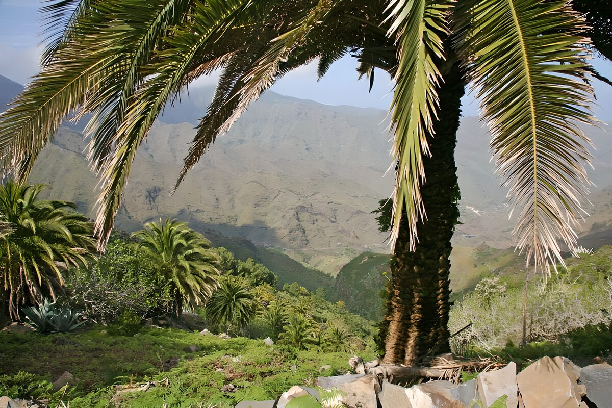 TPDE71594: die berglandschaft von La Gomera 18
