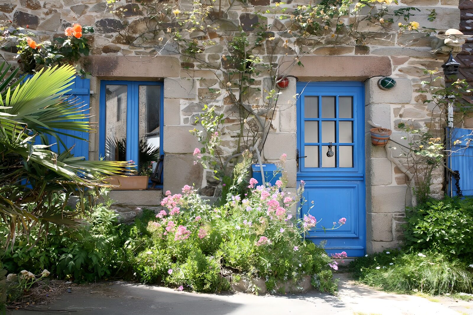 TPDE56147: Häuschen mit blauer Eingangstür und blauen Fensterläden und blühende Blumen und Pflanzen in Catus
