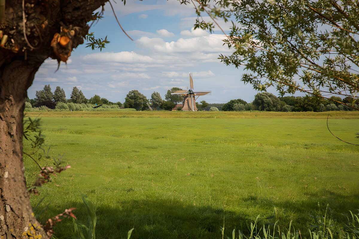 TPDE39430: Windmühle im malerischen Landschaft