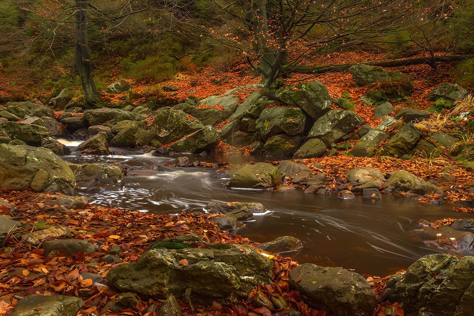 TPDE39396: Herbstliche Idylle am Fluss