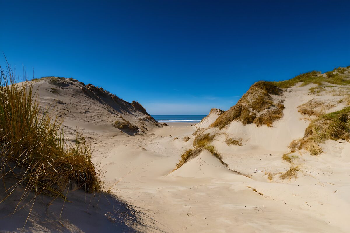 TPDE62156: Sanddünen am Strand unter blauem Himmel