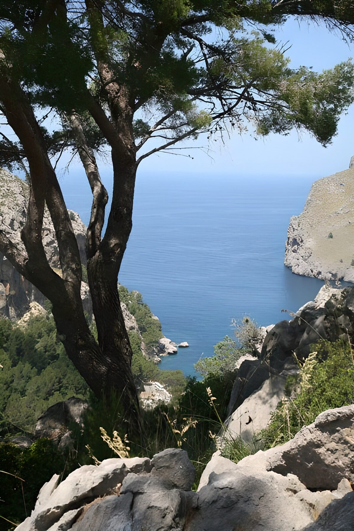 TPDE46663: Blick auf eine Bucht in einer Fjord-Landschaft 