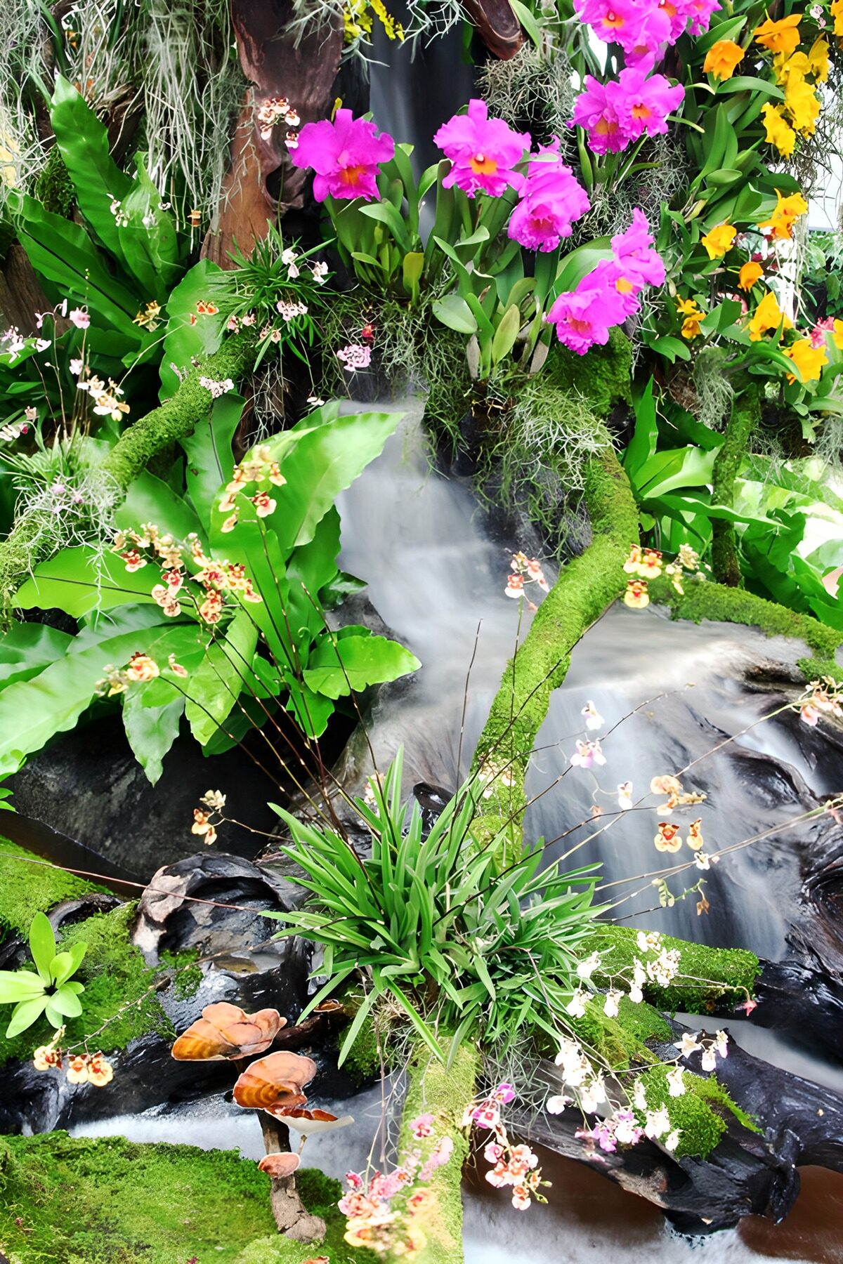 TPDE63122: "Blühende Oase mit Wasserfall"