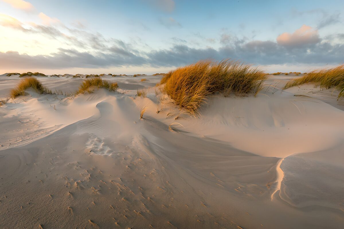 TPDE95516: Sanddünen bei Sonnenuntergang