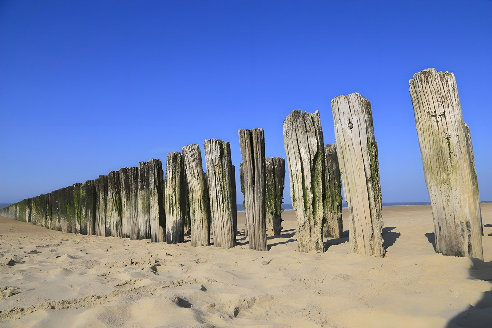 TPDE48916: Wellenbrecher am Strand, die das Festland schützen