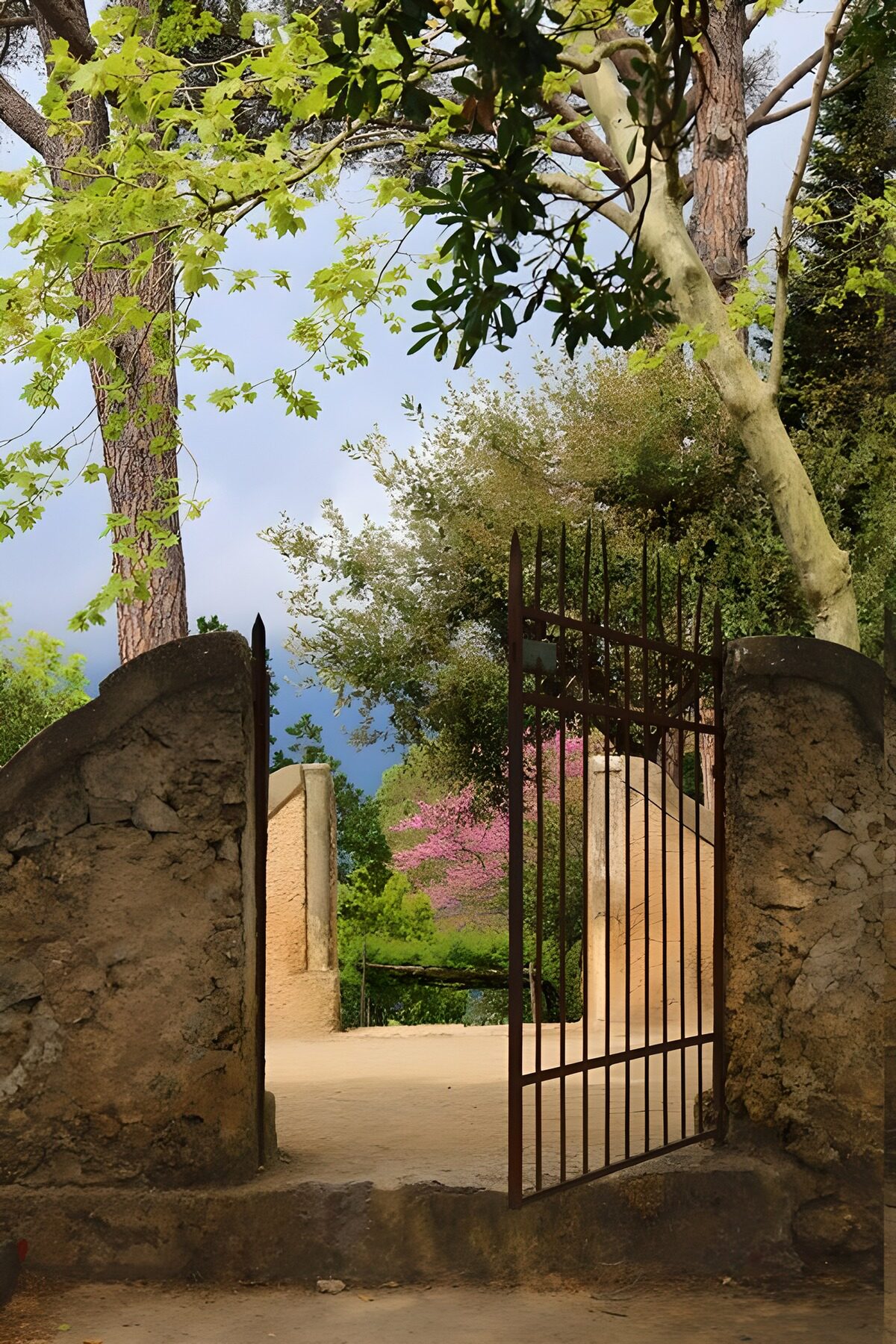 TPDE85539: Tor zum Gartenparadies